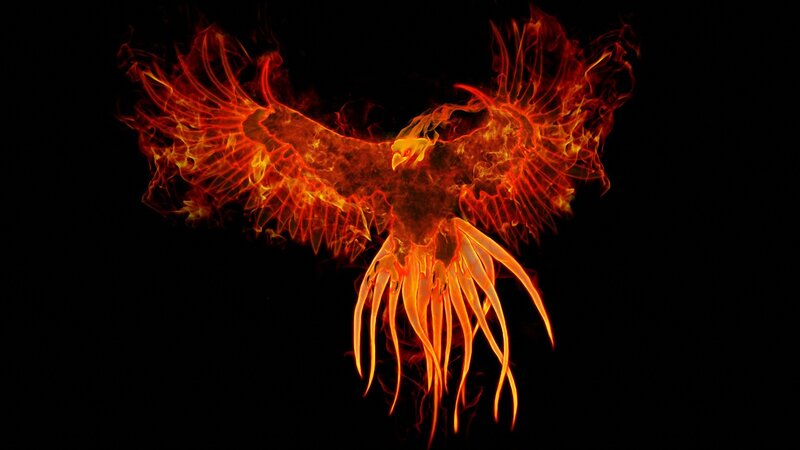 Flaming Phoenix Bird — Black, Dramatic, Digital Art, Fire