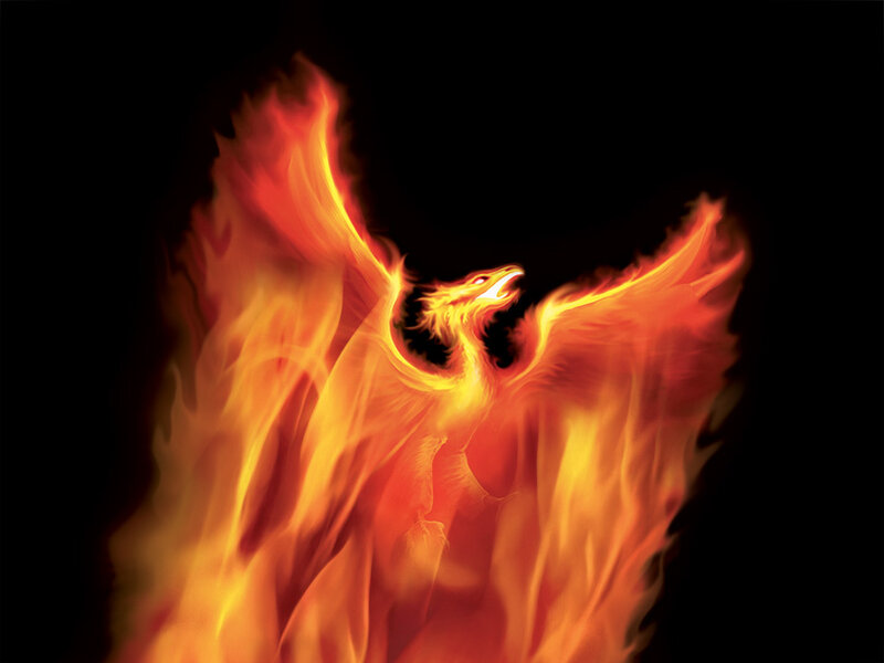 Flaming Phoenix Bird — Orange, Dramatic, Digital Art, Fire, Black Background, Yellow, Black