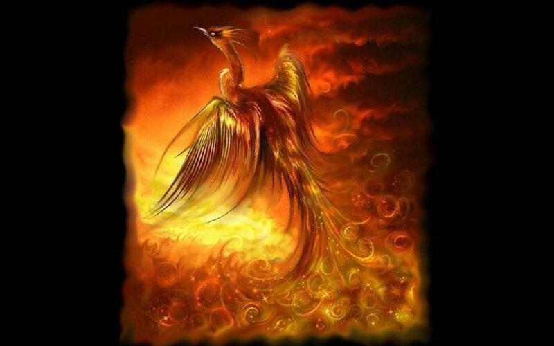 Flaming Phoenix Bird — Orange, Dramatic, Digital Art, Fire, Sky