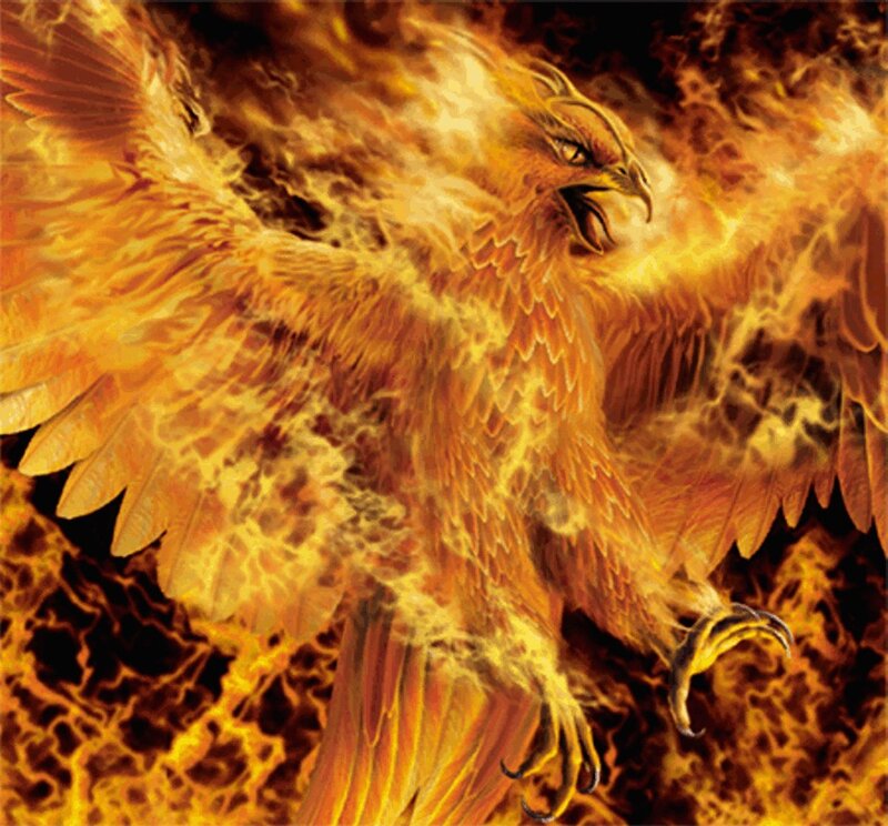 Flaming Phoenix Bird — Orange, Dramatic, Digital Art, Fire, Wings, Claws