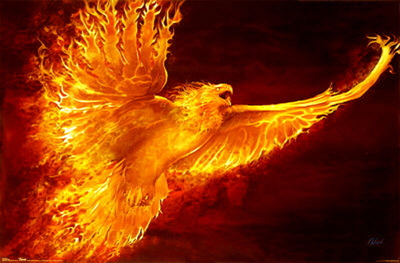 Flaming Phoenix Bird — Orange, Dramatic, Digital Art, Fire, Wings, Sky, Red