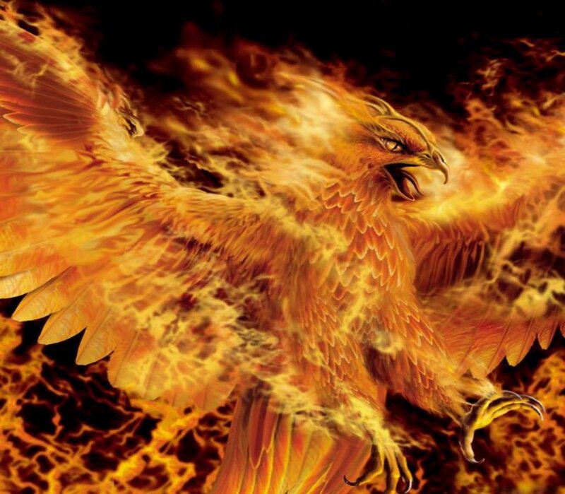 Flaming Phoenix Bird — Orange, Dramatic, Digital Art, Fire, Wings