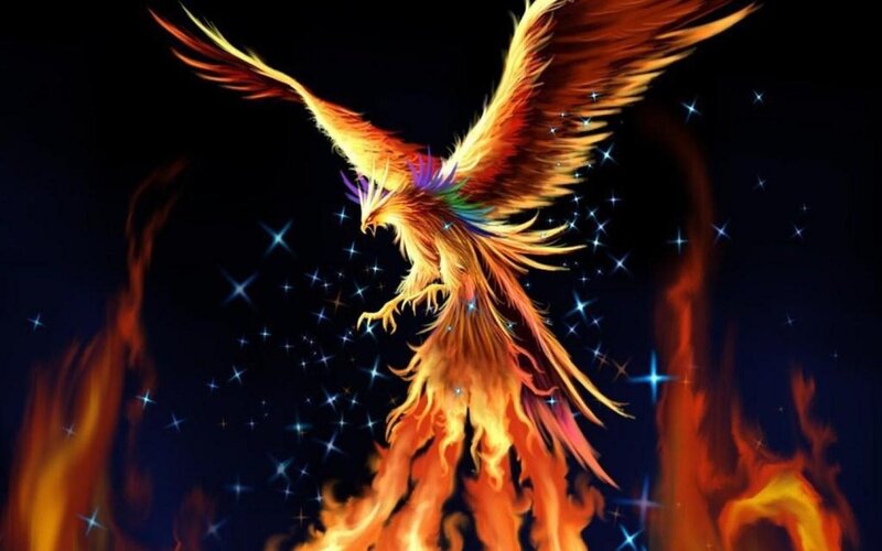 Flaming Phoenix Bird — Orange, Dramatic, Night, Digital Art, Fire, Stars, Night Sky