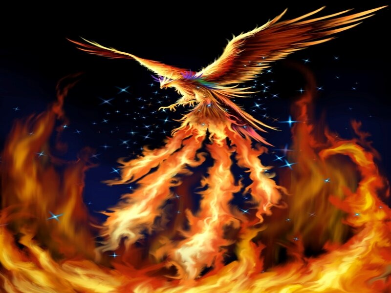 Flaming Phoenix Bird — Orange, Dramatic, Night, Digital Art, Fire, Stars