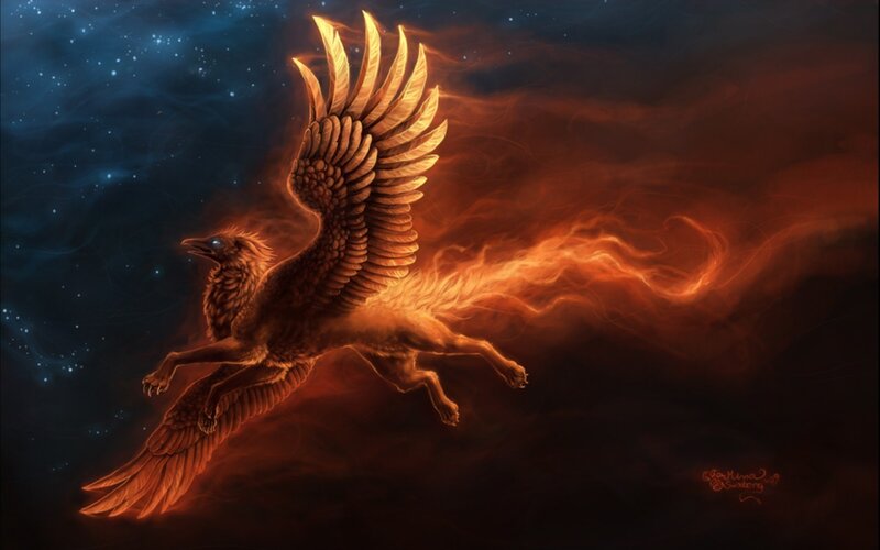 Flaming Phoenix Bird — Orange, Dramatic, Night, Digital Art, Stars