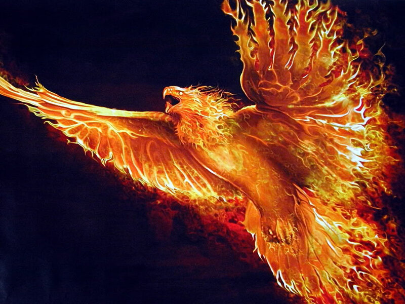Flaming Phoenix Bird — Orange, Dramatic