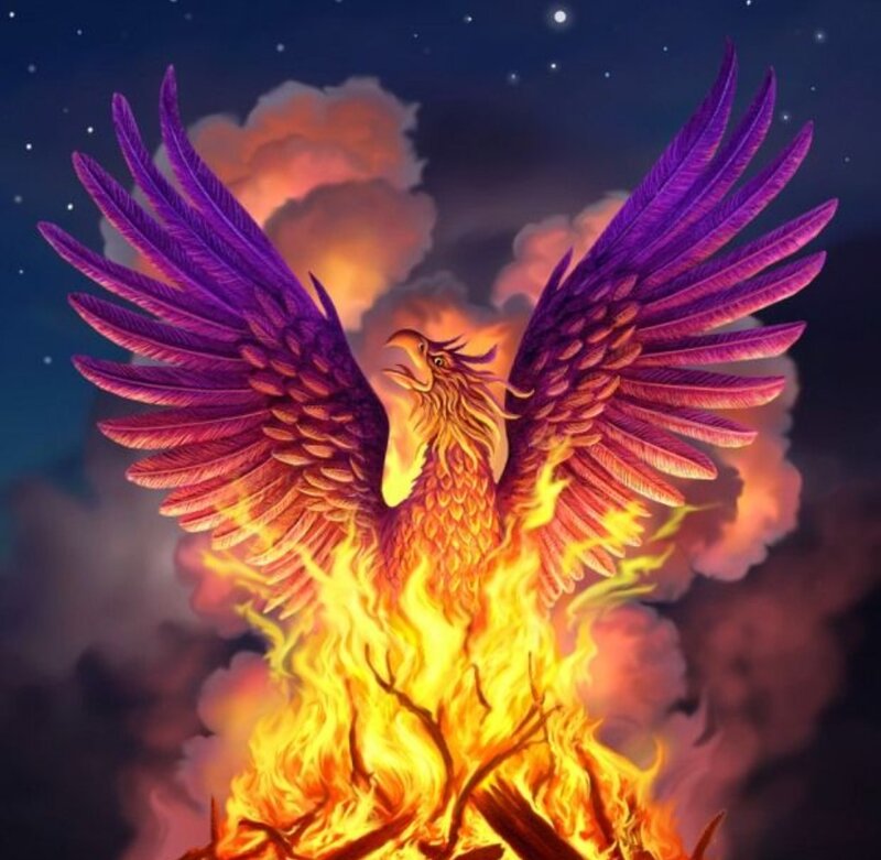 Flaming Phoenix Bird — Purple, Dramatic