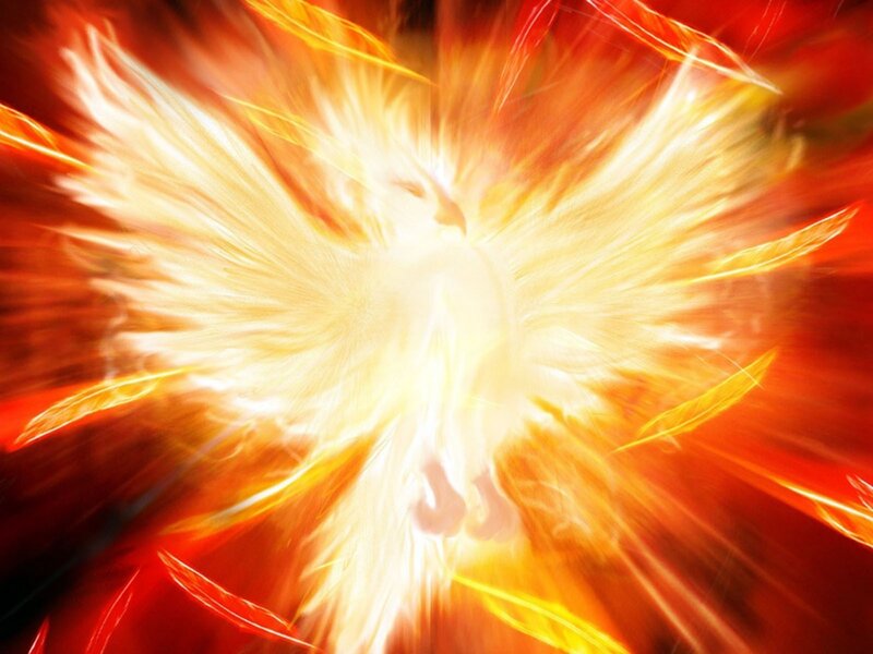 Flaming Phoenix Bird — Red, Dramatic, Digital Art, Fire, Light