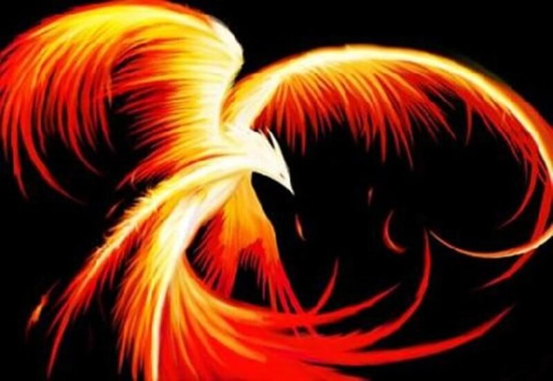 Flaming Phoenix Bird — Red, Dramatic, Digital Art, Fire, Wings, Dark Background