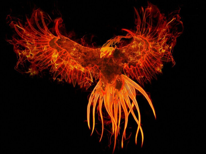 Flaming Phoenix Bird — Red, Dramatic, Digital Art, Fire, Wings