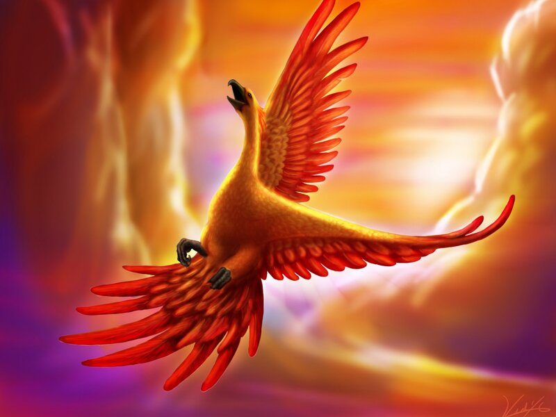 Flaming Phoenix Bird — Red, Dramatic, Sunset