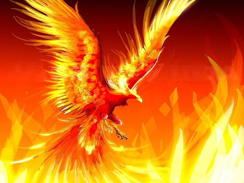 Flaming Phoenix Bird — Red, Dramatic