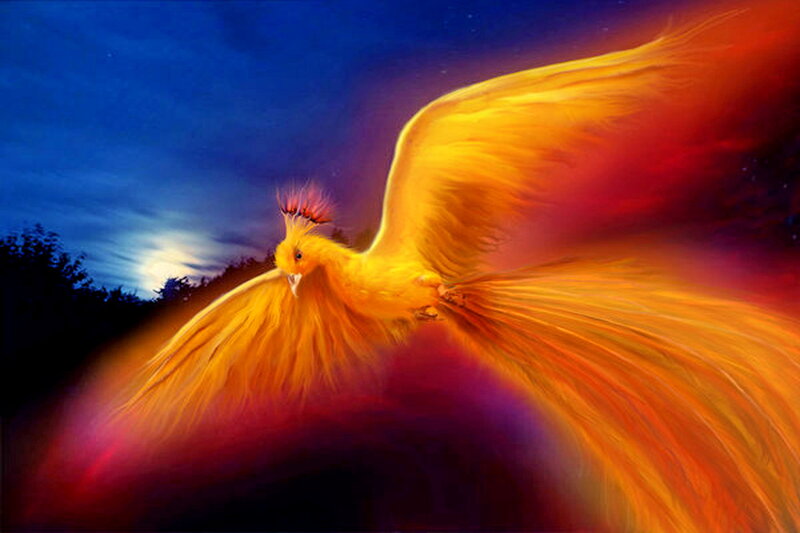 Flaming Phoenix Bird — Yellow, Dramatic, Night