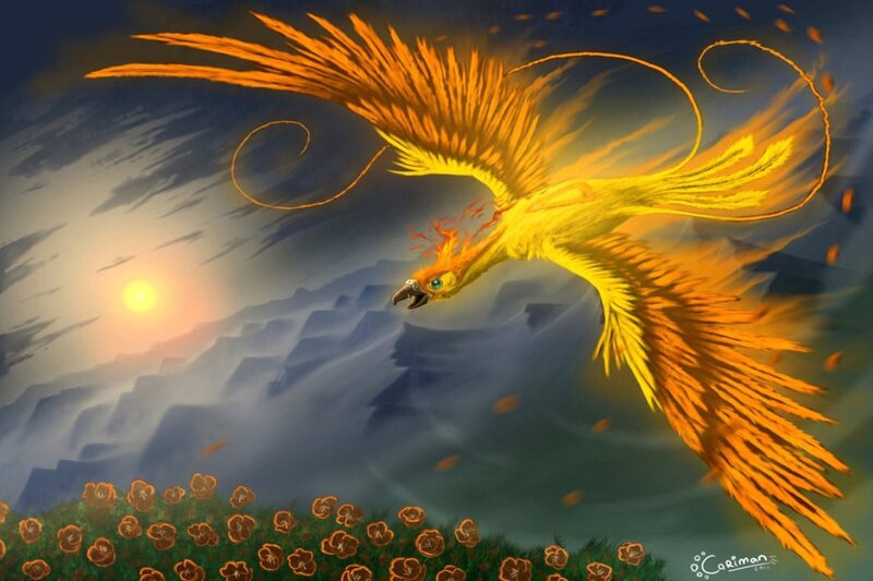 Flaming Phoenix Bird — Yellow, Dramatic, Sunset