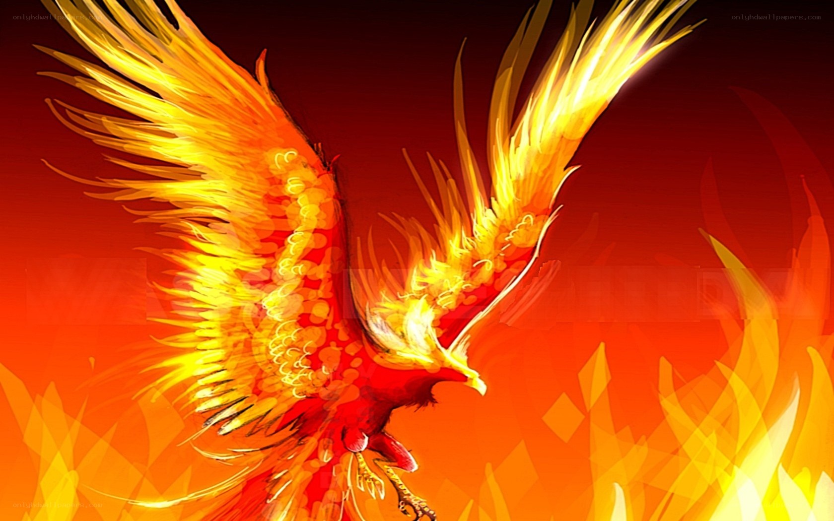 flaming phoenix in flight