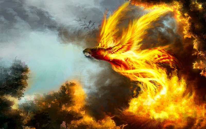 flaming phoenix in flight