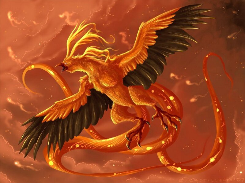 flaming phoenix in flight