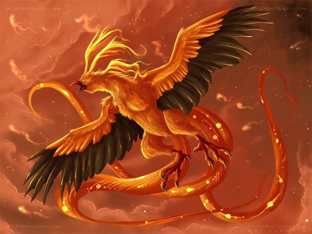 flaming phoenix in flight