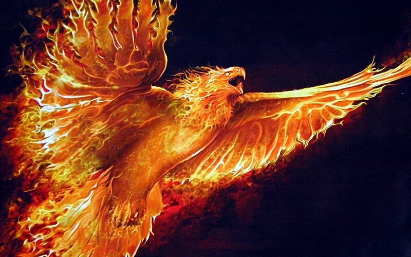 flaming phoenix in flight