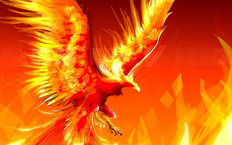 flaming phoenix in flight
