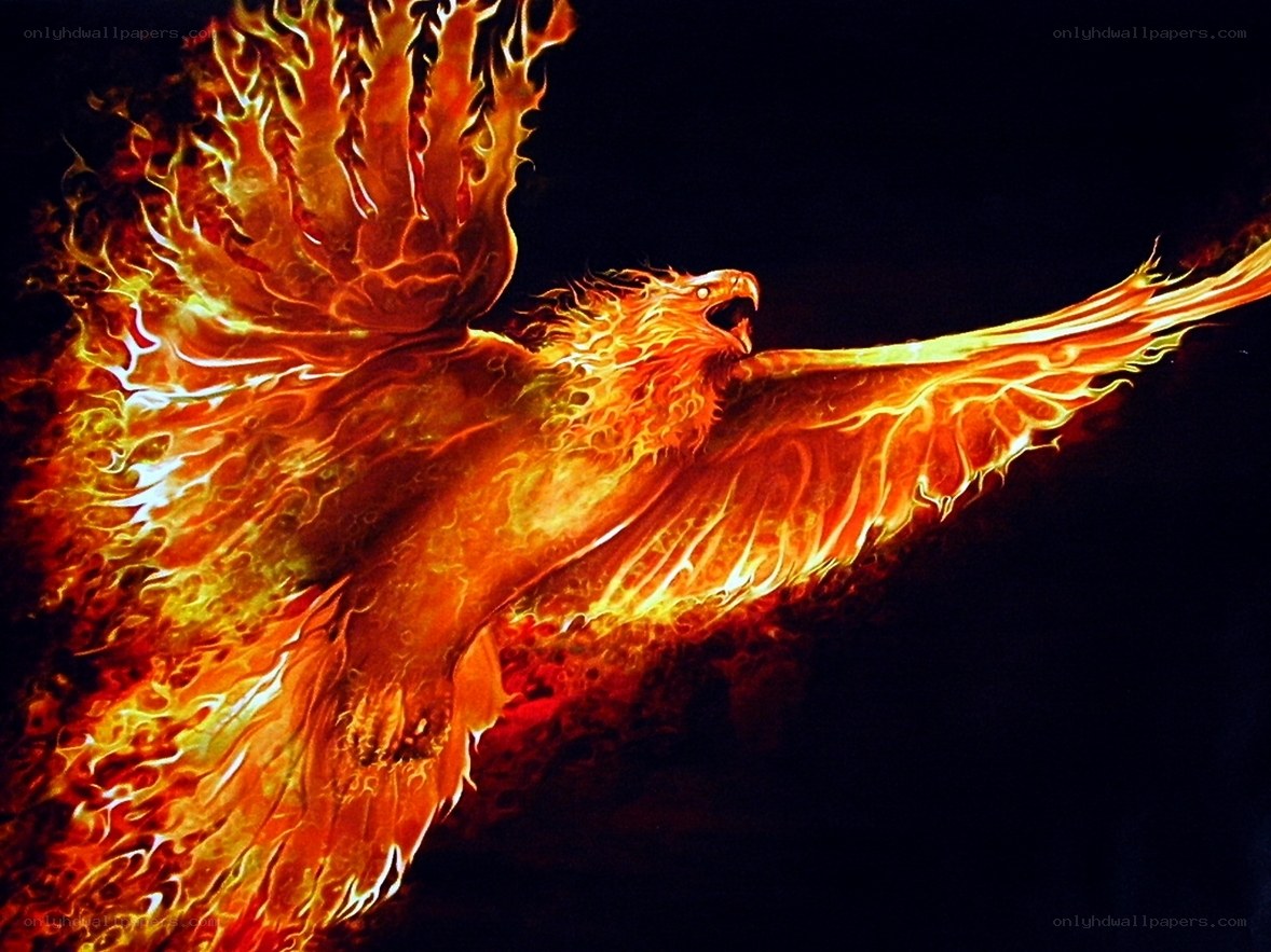 flaming phoenix in flight