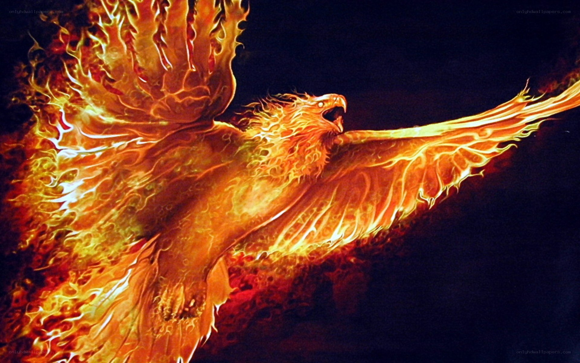 flaming phoenix in flight