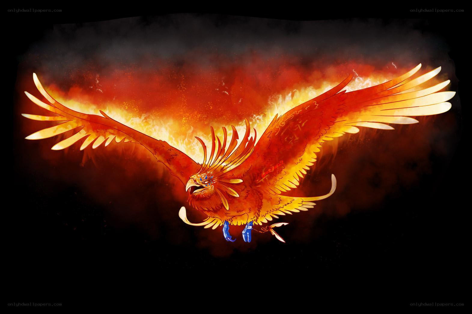 flaming phoenix in flight