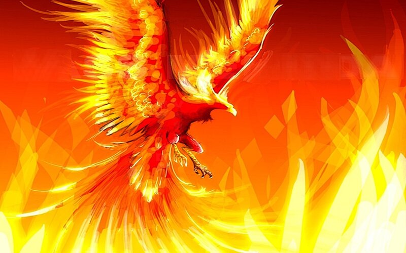 flaming phoenix in flight