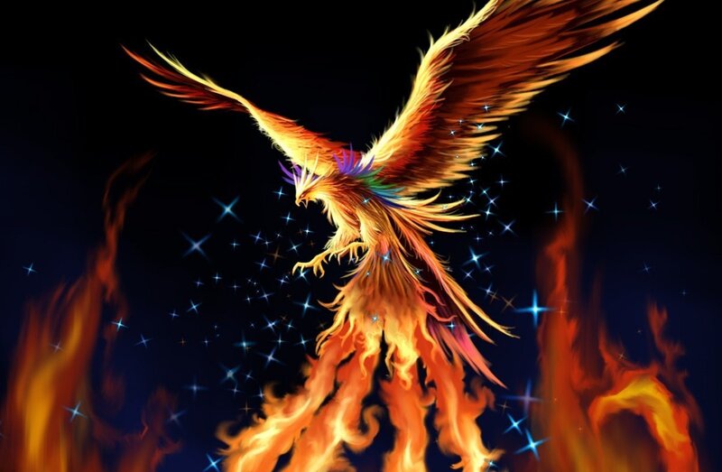 flaming phoenix in starry sky
