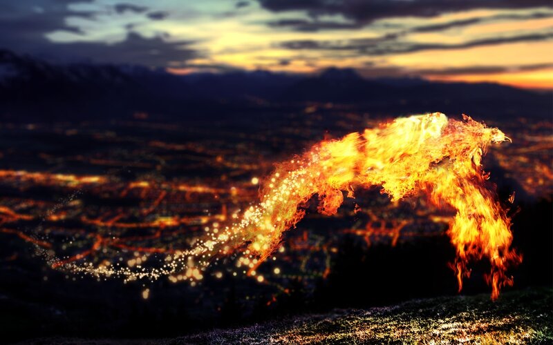 Flaming Phoenix — Orange, Dramatic, Sunset, Digital Art