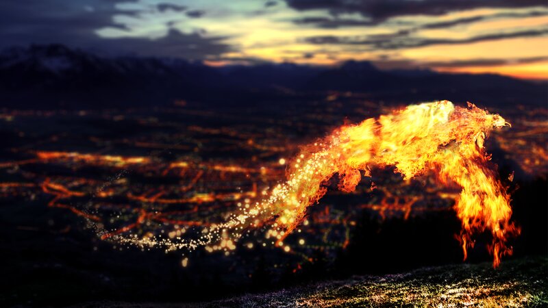 Flaming Phoenix — Orange
