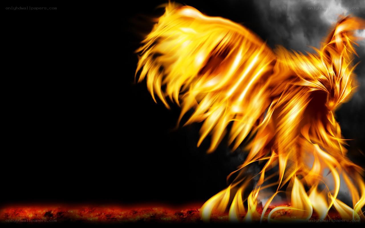flaming phoenix rising