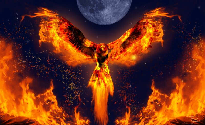 flaming phoenix rising