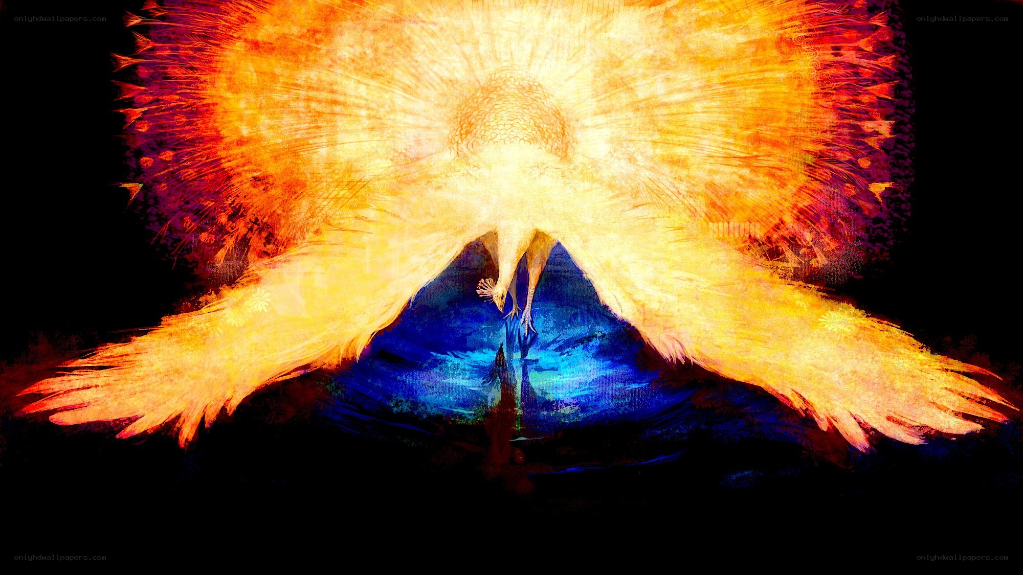 flaming phoenix rising