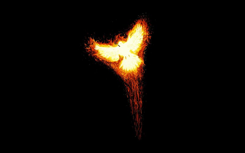 flaming phoenix rising