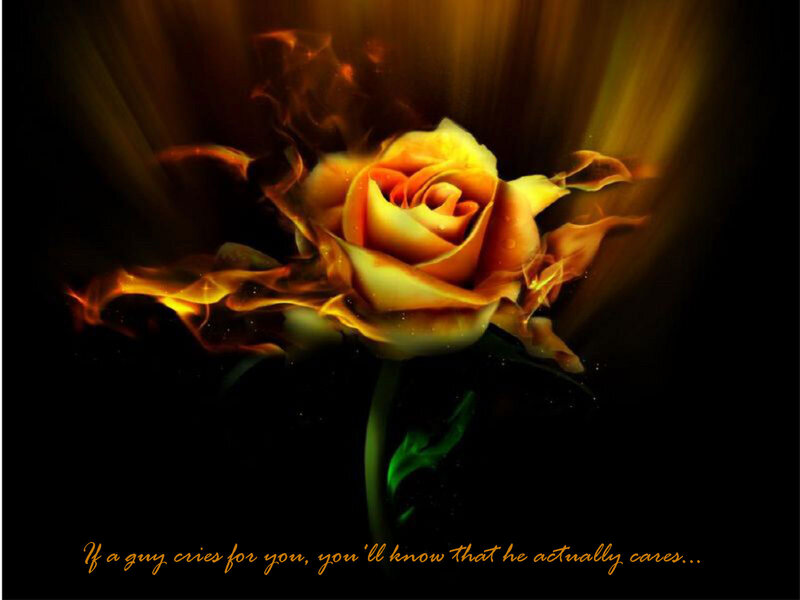 Flaming Rose — Black
