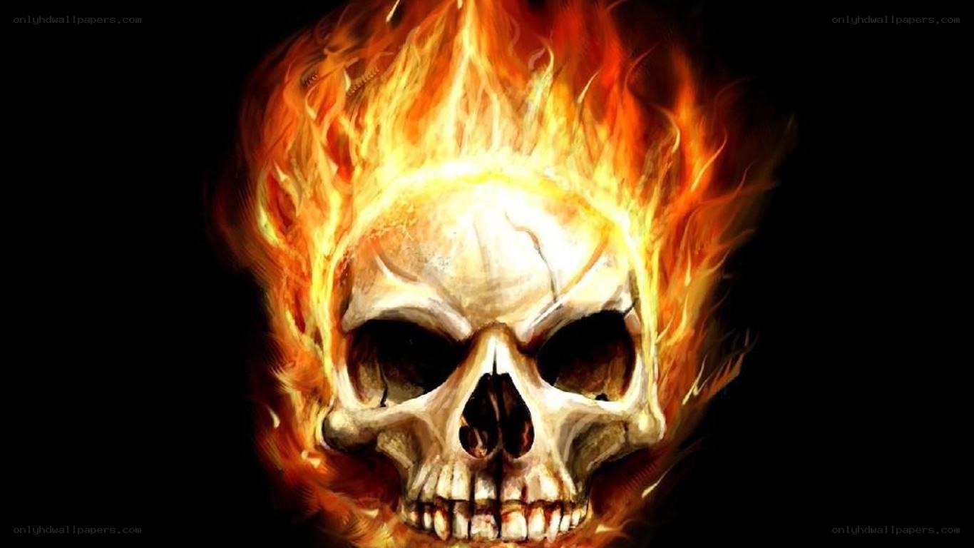flaming skull illustration
