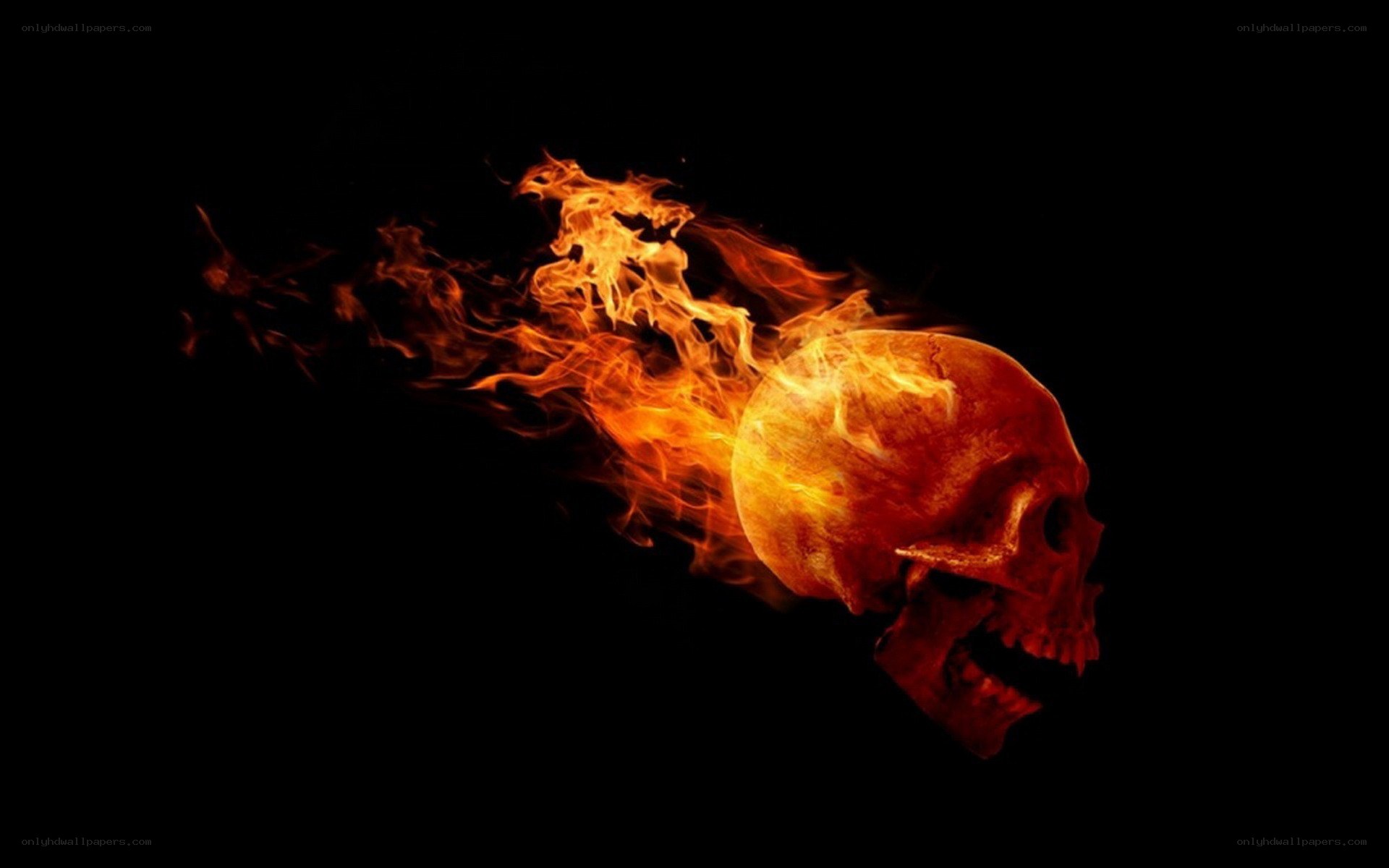 flaming skull on black