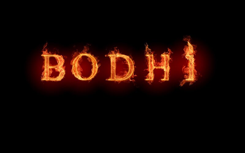 flaming text of the word Bodhi