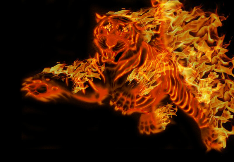 flaming tiger in motion