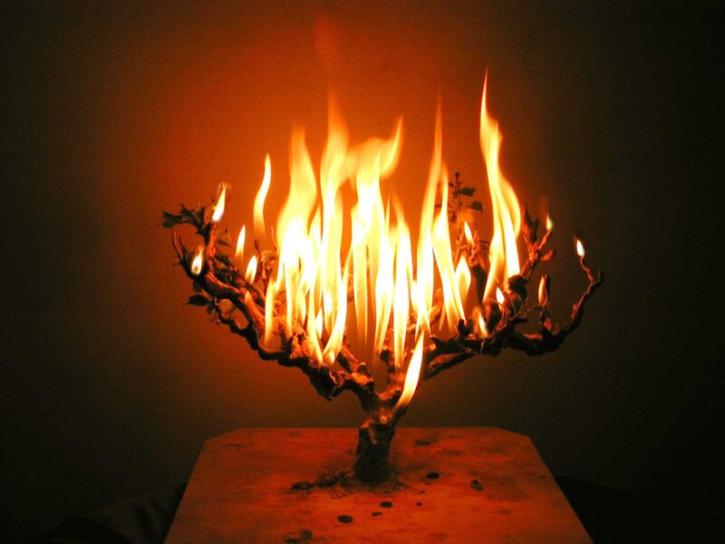Flaming tree sculpture