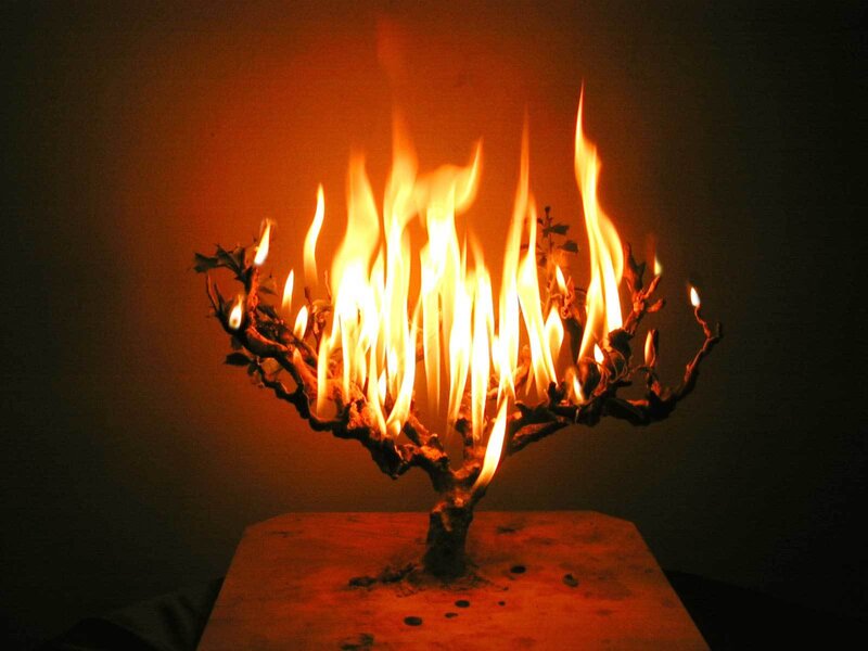 Flaming Tree Sculpture — Orange