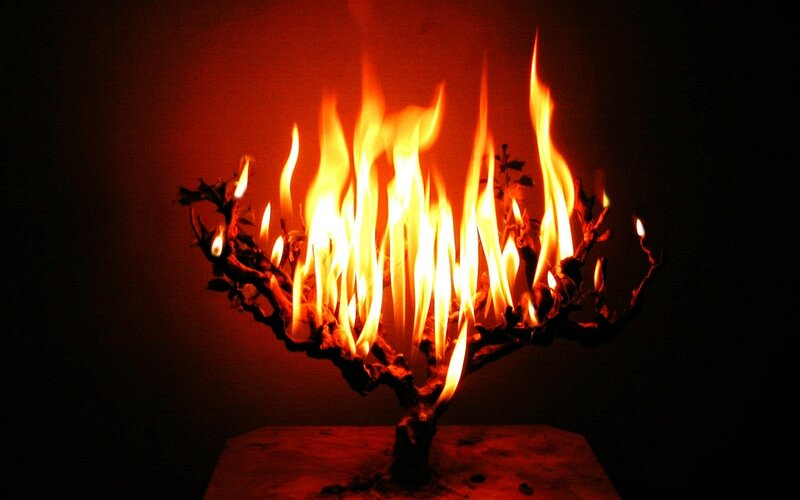 Flaming tree sculpture