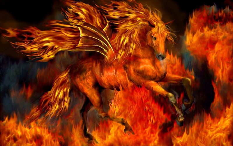 Flaming Winged Horse — Orange, Dramatic, Digital Art, Fire, Wings, Red