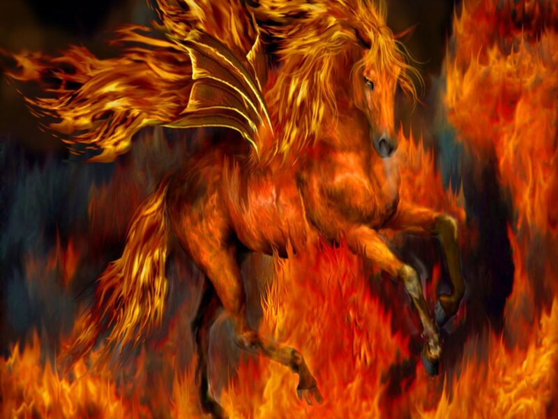 Flaming Winged Horse — Orange, Dramatic
