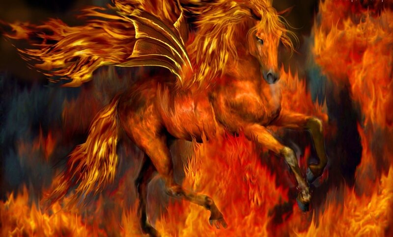 Flaming Winged Horse — Orange