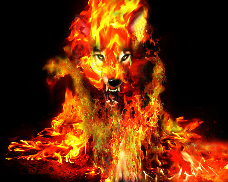 Flaming Wolf Creature