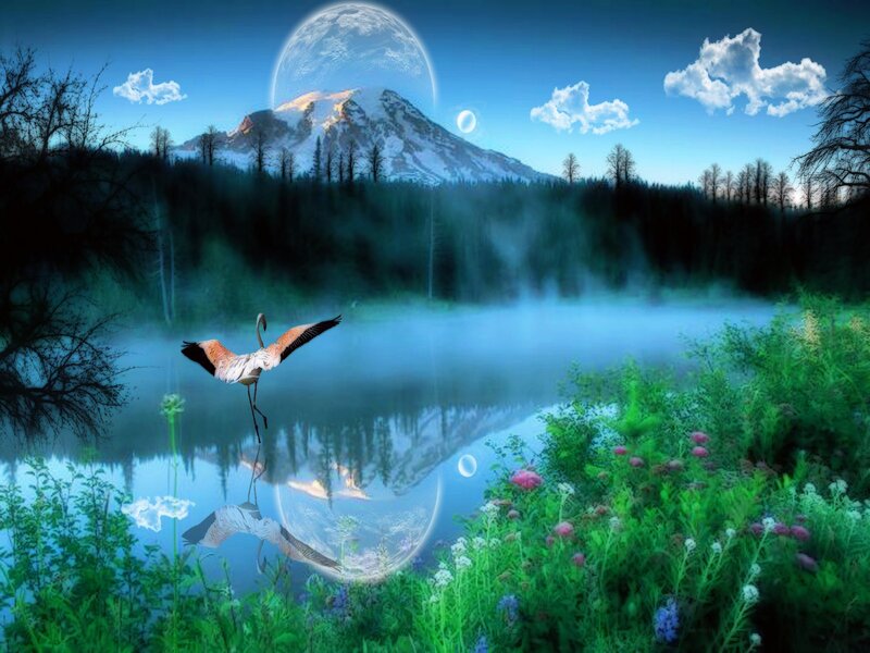 Flamingo Flying over Lake — Blue, Serene, Morning