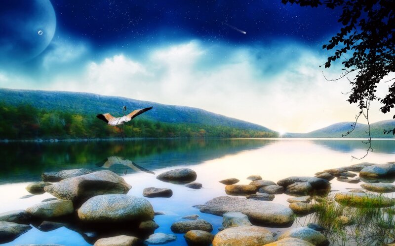 Flamingo Flying over Lake — Blue, Serene, Night