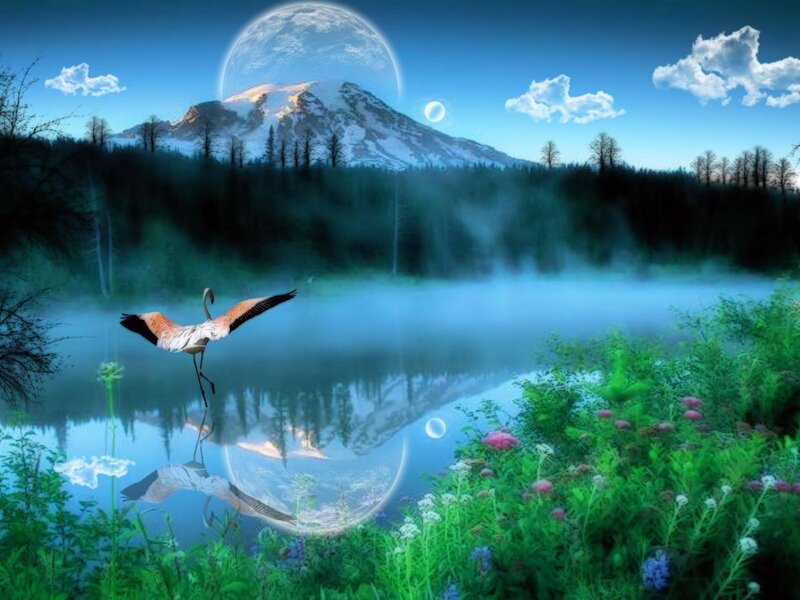 Flamingo Flying over Lake — Blue